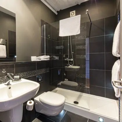 1 BATHROOM IMG 5191 COPY