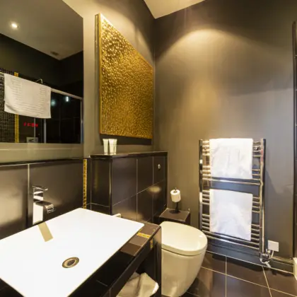 6 BATHROOM IMG 4804 COPY