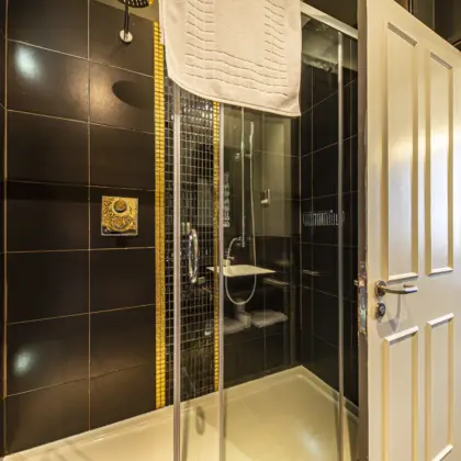 6 BATHROOM IMG 4802 COPY